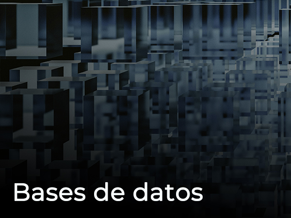 BASES DE DATOS